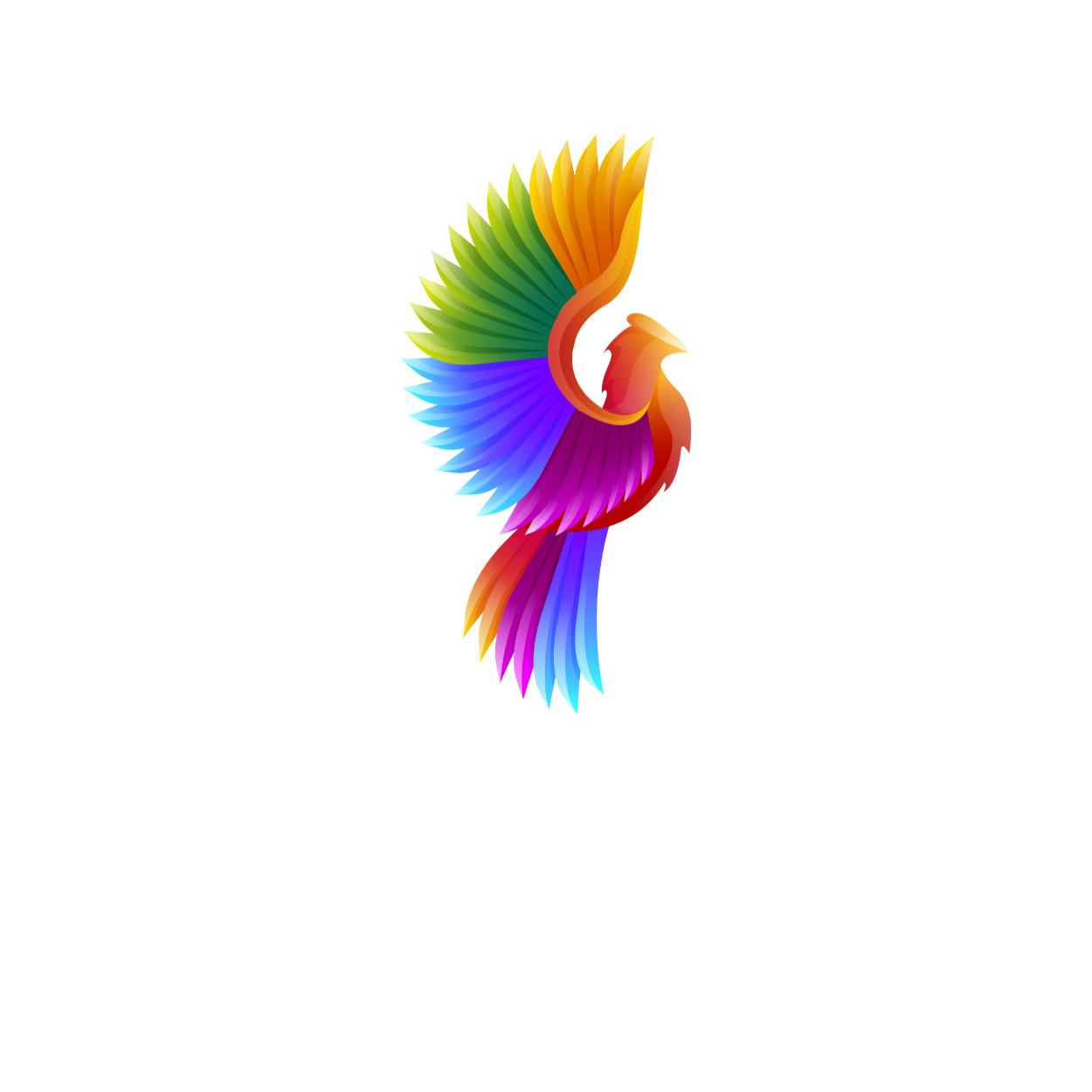 The Online Oasis