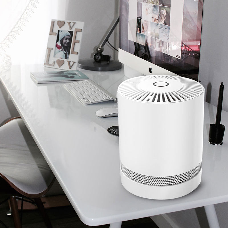 Portable air purifier - The Online Oasis