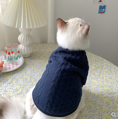 Warm And Cute Clothes For Pets Feet - The Online Oasis