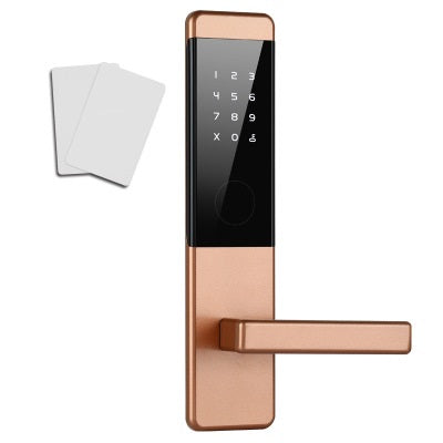 Electronic Card Induction Smart Lock Remote APP Bluetooth Temporary Password Lock - The Online Oasis