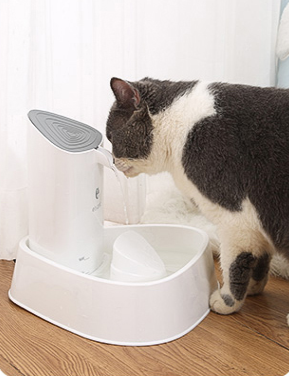 Smart Pet Dog/Cat Water Fountain