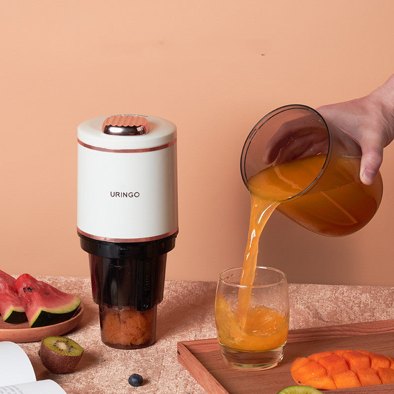 Portable Household Multifunctional Small Juice Juicer - The Online Oasis