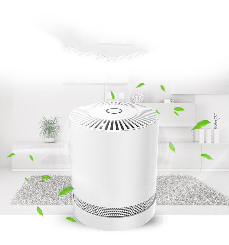 Portable air purifier - The Online Oasis