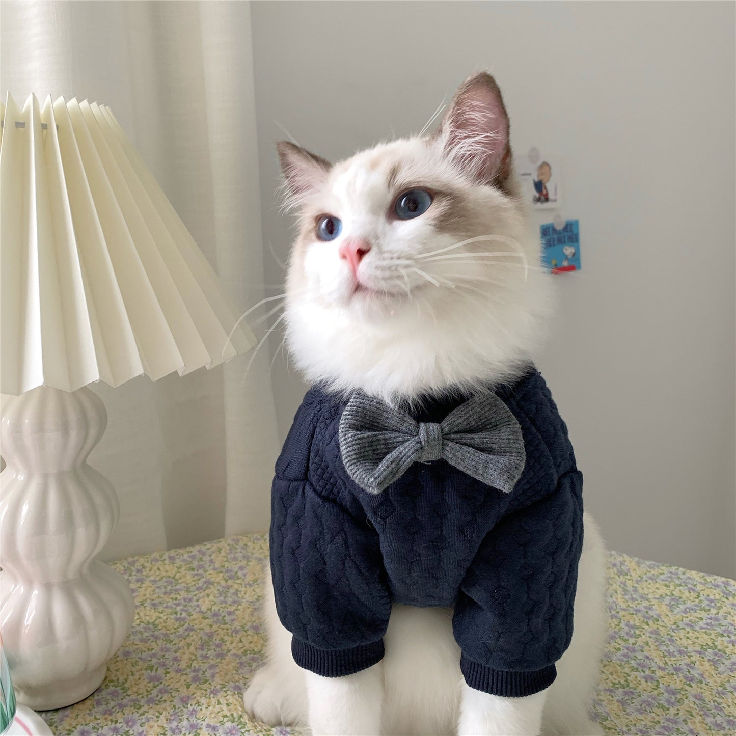 Warm And Cute Clothes For Pets Feet - The Online Oasis