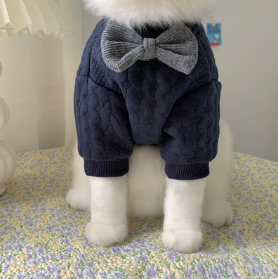 Warm And Cute Clothes For Pets Feet - The Online Oasis