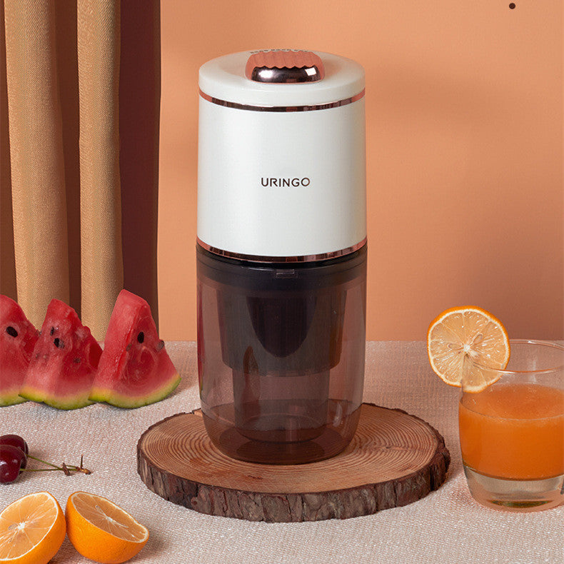 Portable Household Multifunctional Small Juice Juicer - The Online Oasis